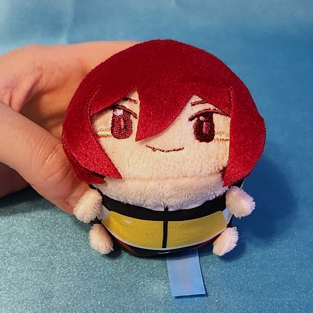 "Free! Starting Days" Rin Matsuoka Plushie